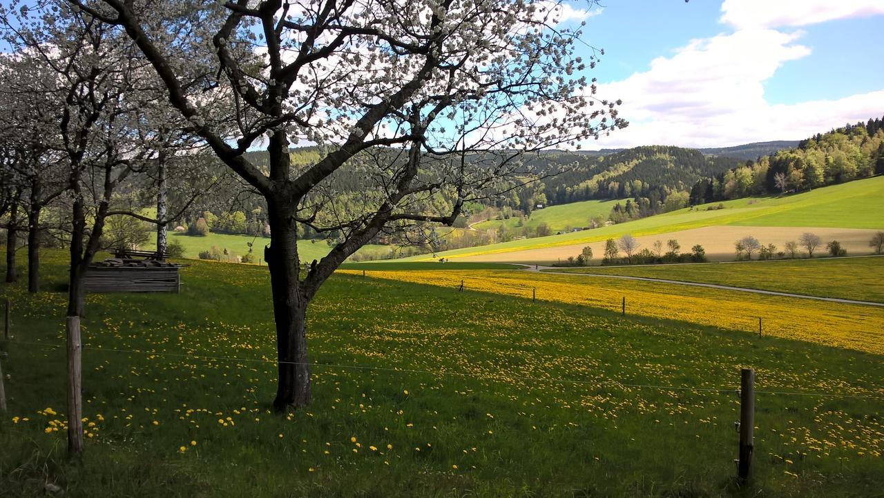 Ferienwohnungen Weissflog Schwarzenberg  Esterno foto